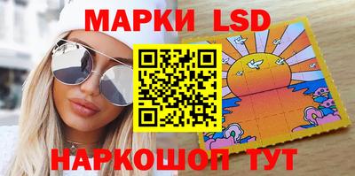 мдпв Камышлов