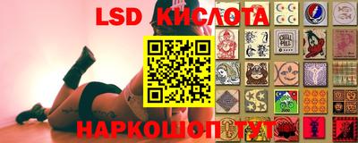 мдпв Камышлов