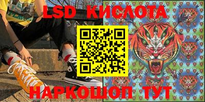 мдпв Камышлов