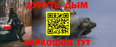 мдпв Камышлов