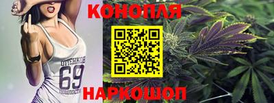 мдпв Камышлов