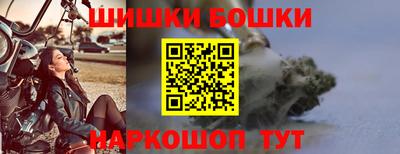 мдпв Камышлов