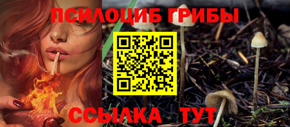 Псилоцибиновые грибы прущие грибы  Вход с VPN  Калининград  Псилоцибиновые грибы Magic Shrooms 